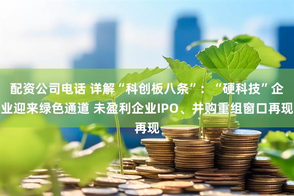 配资公司电话 详解“科创板八条”：“硬科技”企业迎来绿色通道 未盈利企业IPO、并购重组窗口再现