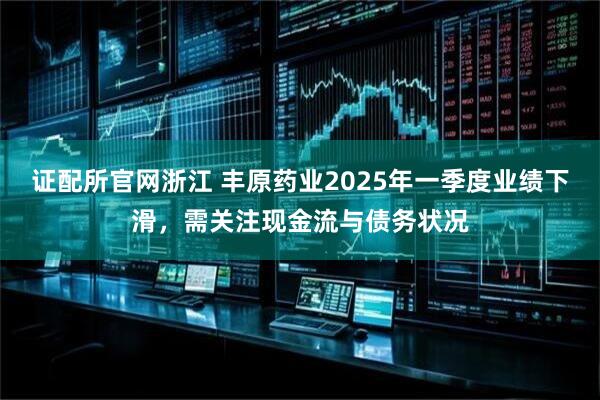 证配所官网浙江 丰原药业2025年一季度业绩下滑，需关注现金流与债务状况