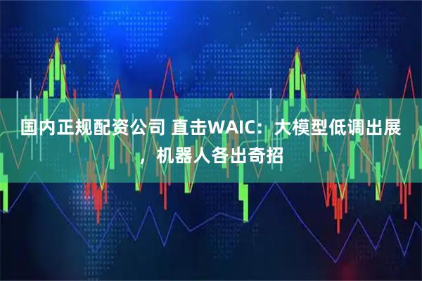 国内正规配资公司 直击WAIC：大模型低调出展，机器人各出奇招