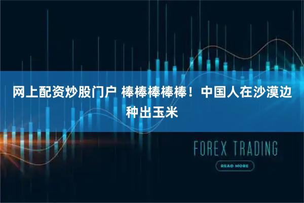 网上配资炒股门户 棒棒棒棒棒！中国人在沙漠边种出玉米