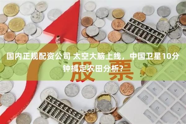 国内正规配资公司 太空大脑上线，中国卫星10分钟搞定农田分析？