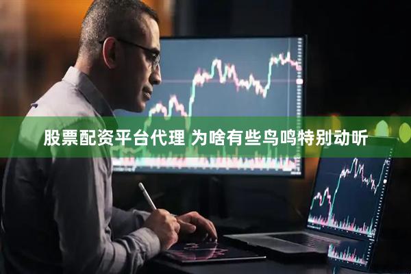 股票配资平台代理 为啥有些鸟鸣特别动听