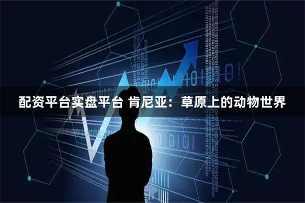 配资平台实盘平台 肯尼亚：草原上的动物世界